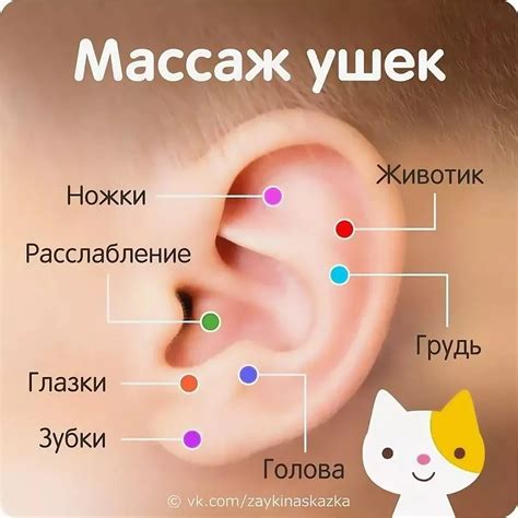 Массаж ушной раковины.