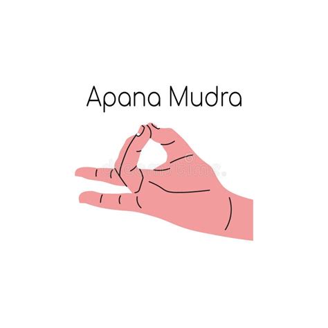 Apana Mudra / Gesture of Life Force. Vector Stock Vector - Illustration ...