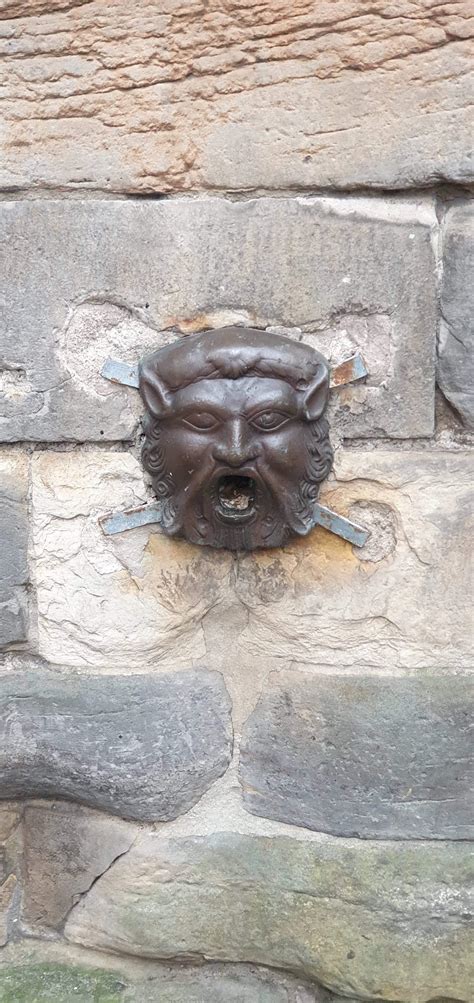 Maybe it’s a secret glory hole. : r/dontputyourdickinthat