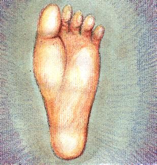 foot