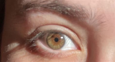 Hazel eyes or green with brown central heterochromia? : r/eyes