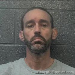 Jamie Lee Showalter Mugshot & Arrest Info | Danville County, VA