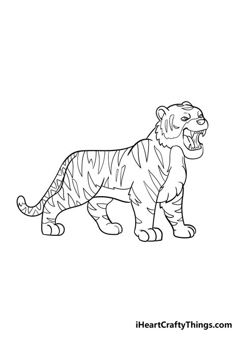 Tiger Drawing - How To Draw A Tiger Step By Step