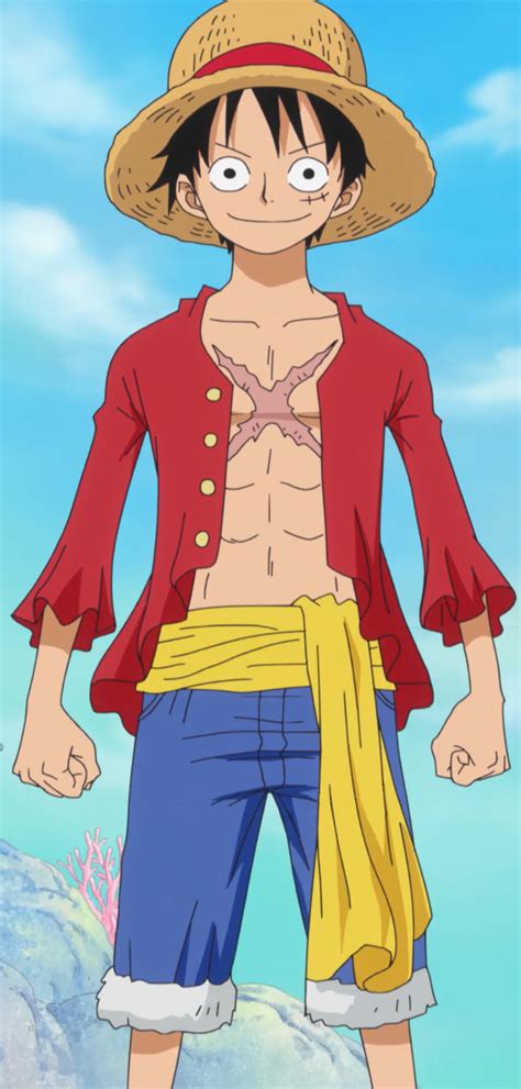 Monkey D. Luffy - The One Piece Wiki - Manga, Anime, Pirates, Marines ...
