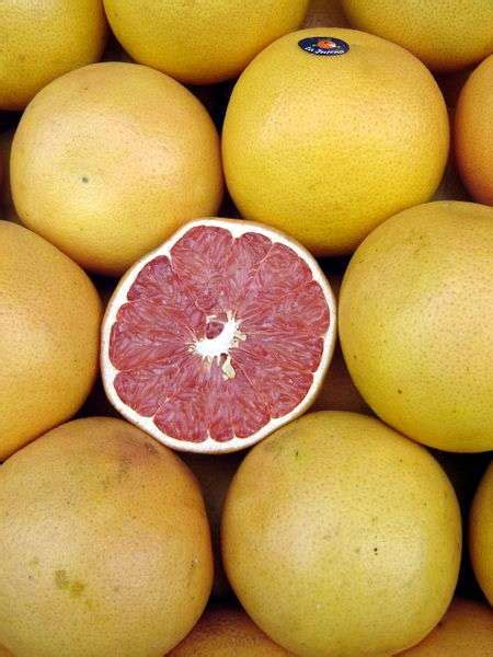 Définition | Pomelo