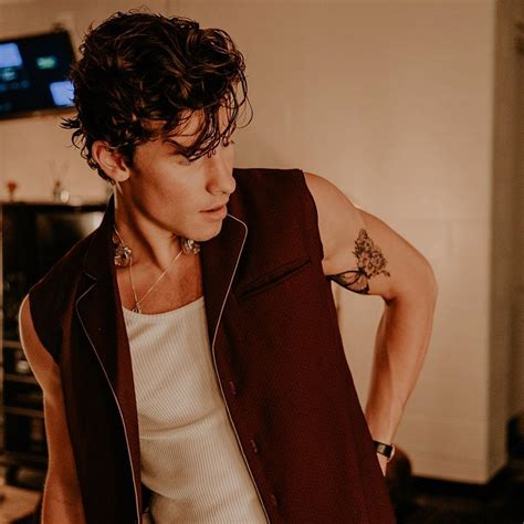 shawn mendes tattoo 8