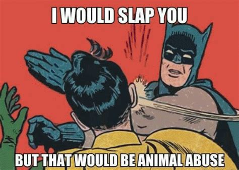 30 I See Stupid People Memes That Will Make You Feel Better About Yourself
