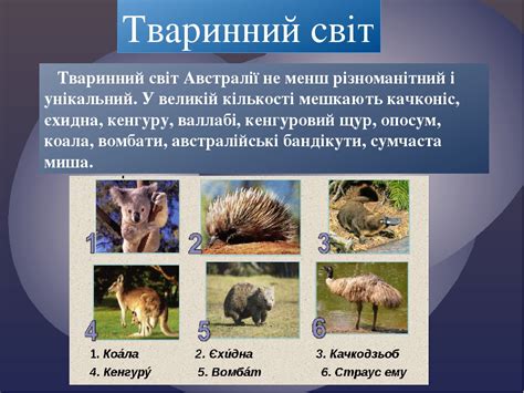 Презентація на тему: "Австралія"