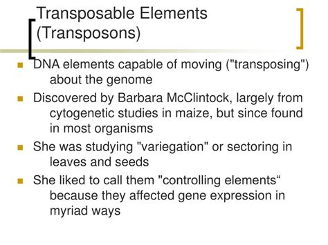 PPT - Transposable Elements PowerPoint Presentation, free download - ID ...