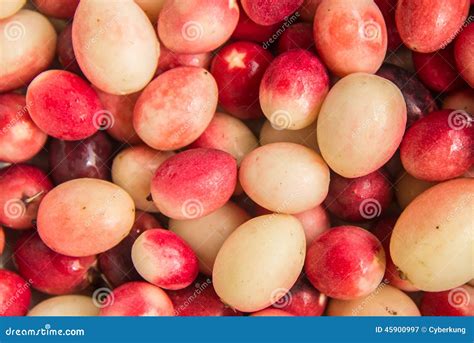 karanda fruit stock image image  tropical asia colour