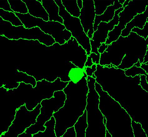 Biophysics Made Simple – Medium