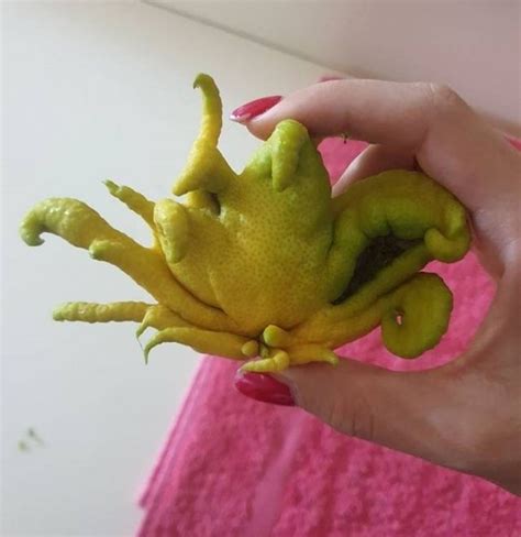Interesting Things (49 pics)