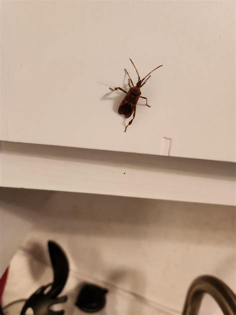 dead of winter all windows and doors closed for hours and I suddenly