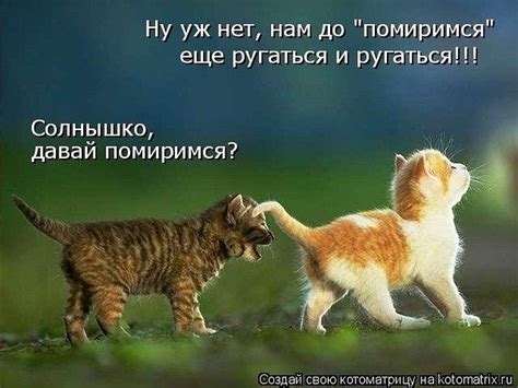 Картинки с надписями. Солнышко, давай помиримся?.