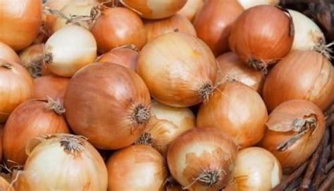 Луковая шелуха - клад для дачников. | Vegetables, Fruits and vegetables ...