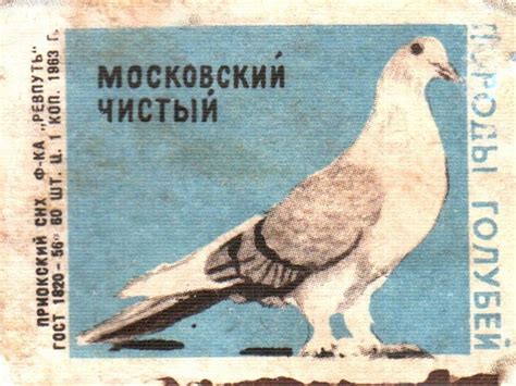 Спичечные наклейки СССР (225 фото) » Картины, художники, фотографы на ...