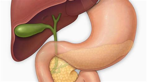 Bile Duct Cancer Survival Rate Stage 4 - CancerWalls