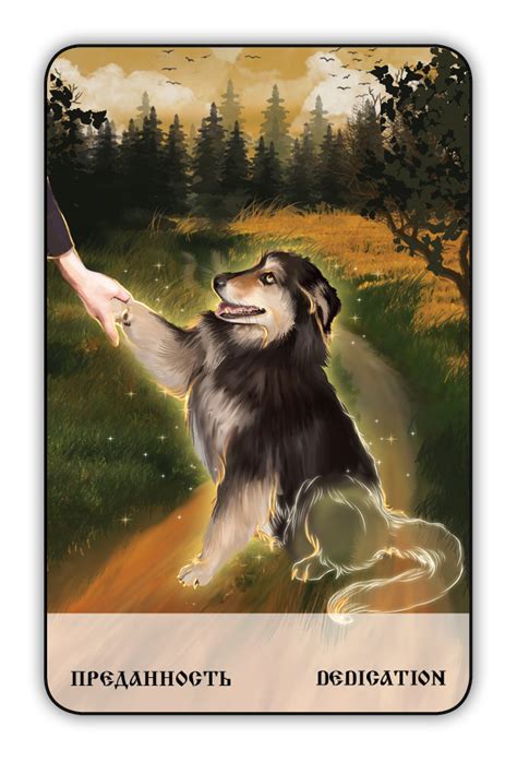 Оракул мудрых животных | Magic-Kniga | читать описание и купить