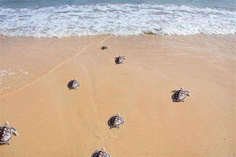 Beaches in Northern Cyprus - MedCyp