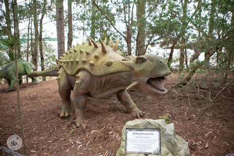 Dinosaur World, Somerville — mamma knows south