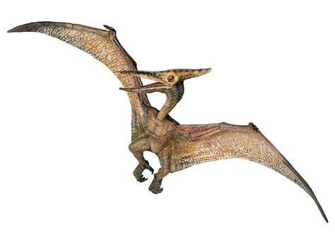 Papo - Pteranodon, figura de dinosaurio pintada a mano (2055006 ...