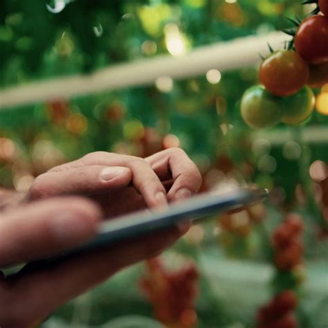 source apis  seamless  rapid data sharing source