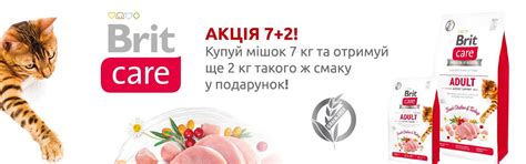Зоотовары, товары для животных. Зоомагазин Рыжий Кот