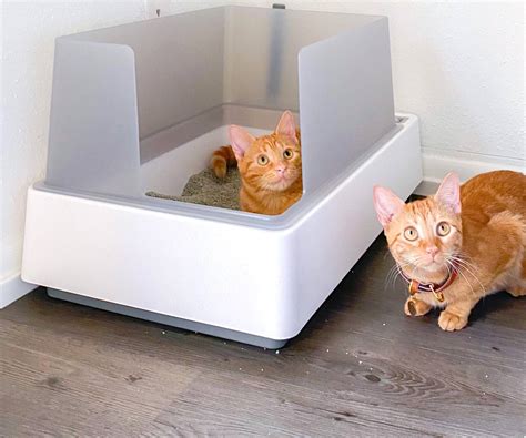 kitten litter boxes   tuft paw