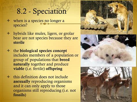 PPT - 8.2 - Speciation PowerPoint Presentation, free download - ID:2011602 