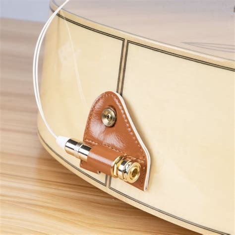 Guitto GGP-03 pickup til akustiske instrumenter. – Søvad Guitars