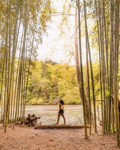 10 Bucket List Hikes Near Atlanta - A Sip of Tee