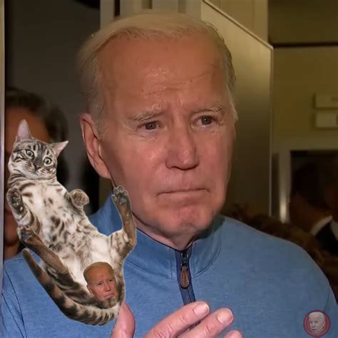 What's the deal with the cat balls? : r/TheBidenshitshow
