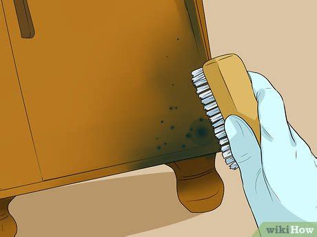 How to Clean Mold Off Concrete: 13 Steps (with Pictures) - wikiHow