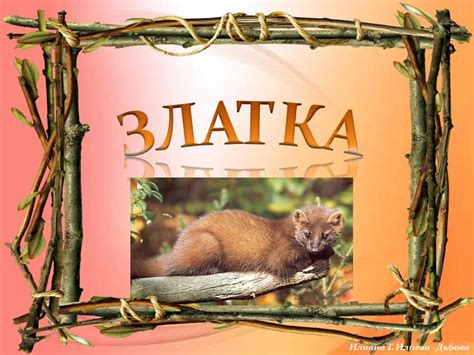 Образователен блог: 2010
