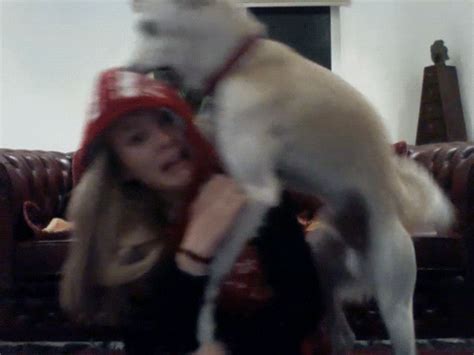 Dog Humping Leg GIFs - Get the best GIF on GIPHY