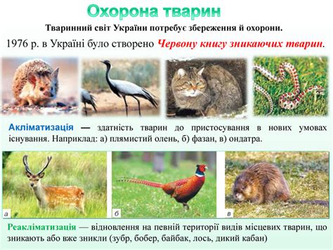 Презентація "Тваринний світ України".