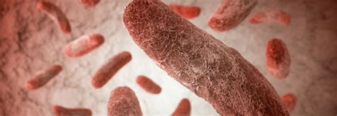 bacterial infections sepsis alliance
