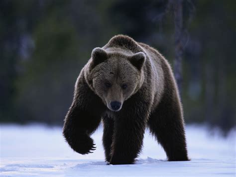 ours