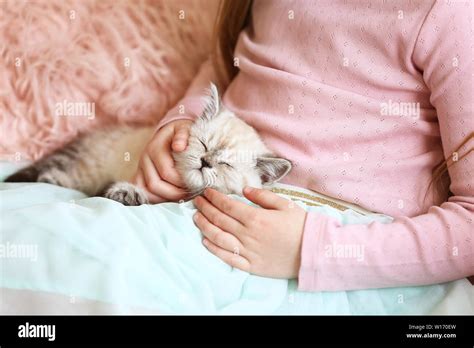 Girl with cute fluffy kitten at home Stock Photo - Alamy