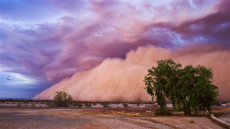 What Is A Haboob?