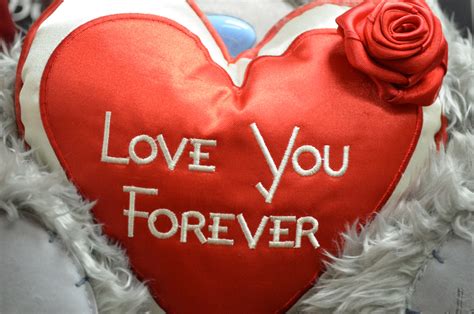 O Que Significa I Love You Forever - Love You Forever Free Stock Photo - Public Domain Pictures