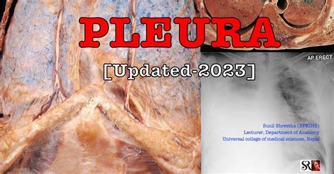 Pleura ~ THE HUMAN ANATOMY BLOG ........