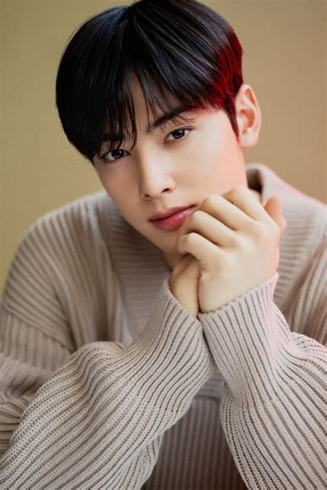 Military Experts Reveal The TRUTH About Cha Eun Woo's Enlistment Image 17