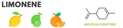 Limonene Terpene Overview: Benefits of Limonene? » Absolute Nature CBD