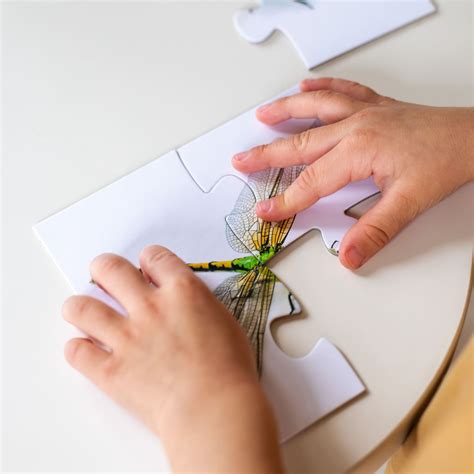 Väikelaste 4-tüki pusle “Putukad” – Sirena