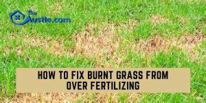how to fix burnt grass from fertilizer