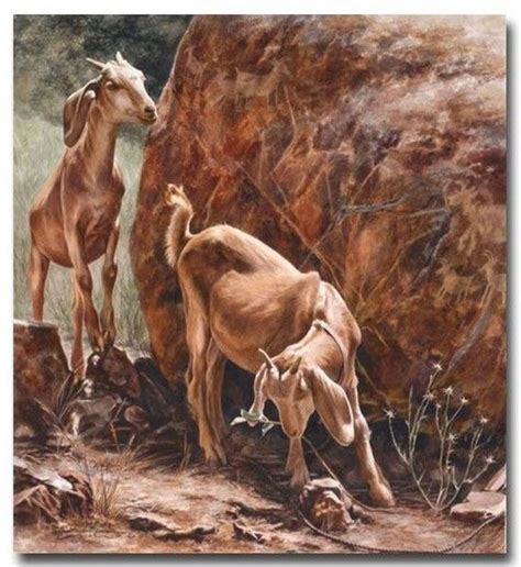 овцы, козы | Wildlife art, Modern art sculpture, Wildlife artists
