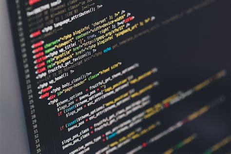 programming language  beginner  learn