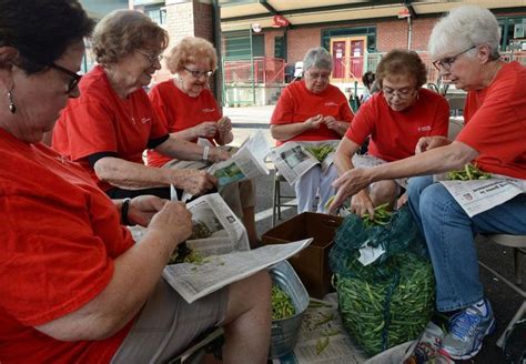 PHOTOS: Stringing beans for Manna Meal