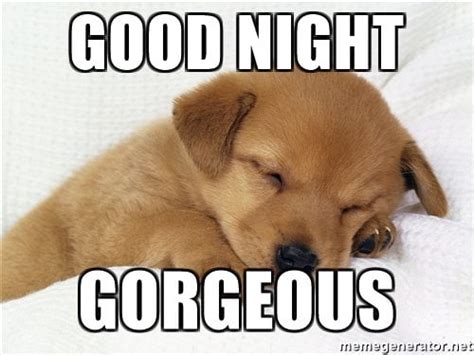 50 Cutest Goodnight Memes - SayingImages.com